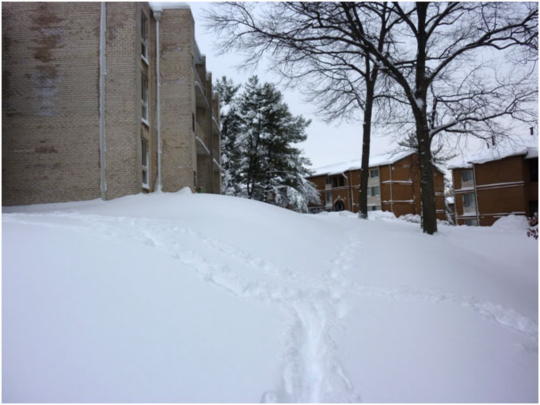 雪