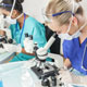 Research Projects in Ophtalmology