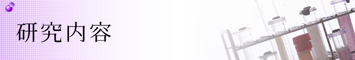 研究内容